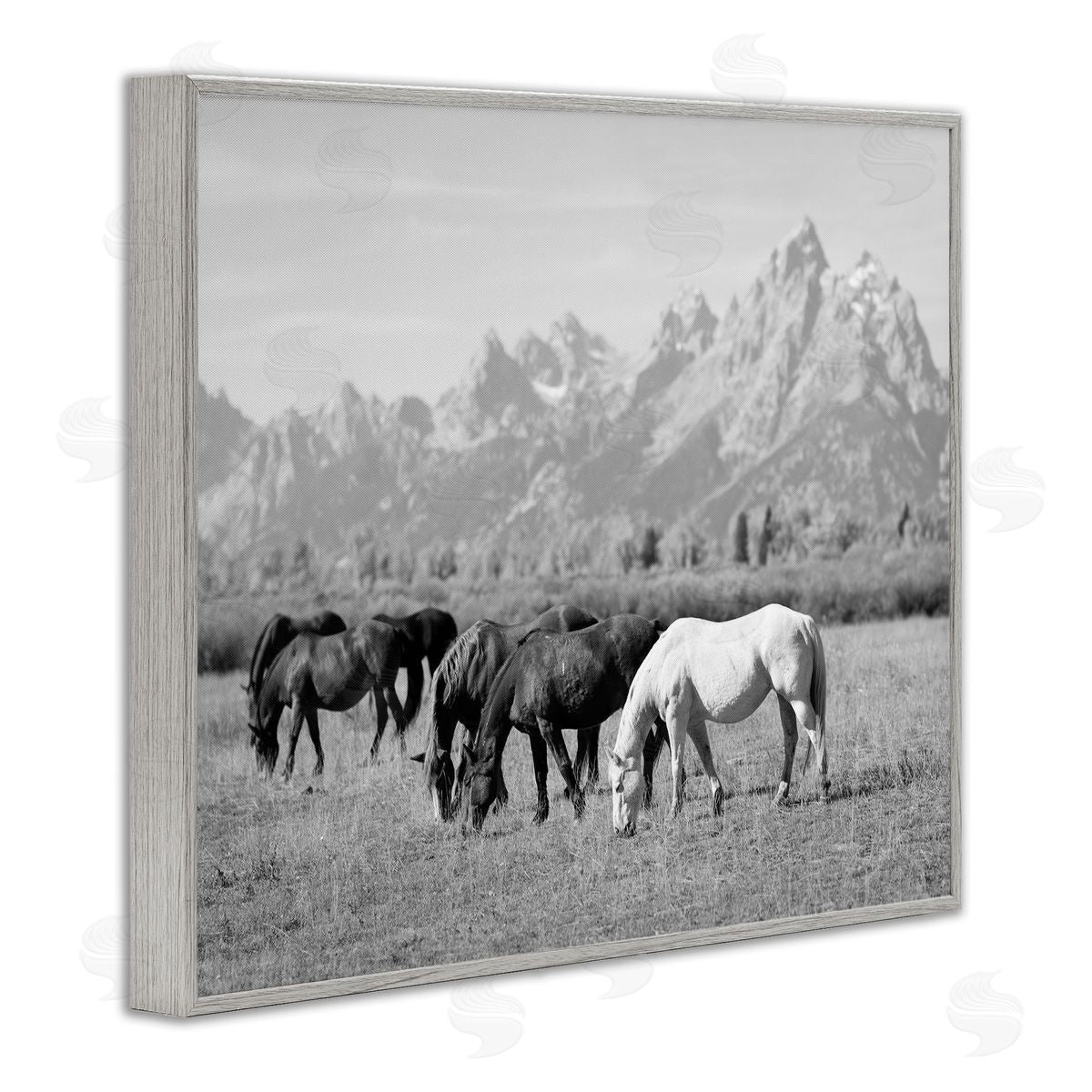 Daniel Sproul Horses Grazing by Mountains Gray Framed Giclee Wall Artside_