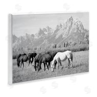 Daniel Sproul | Horses Grazing by Mountains