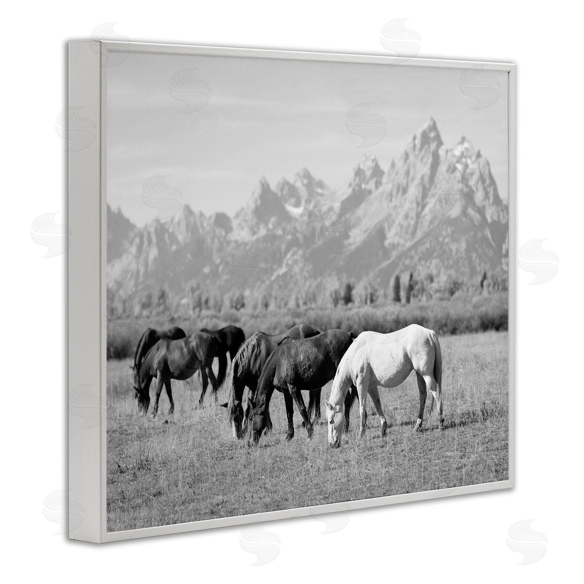 Daniel Sproul Horses Grazing by Mountains White Framed Giclee Wall Artside_