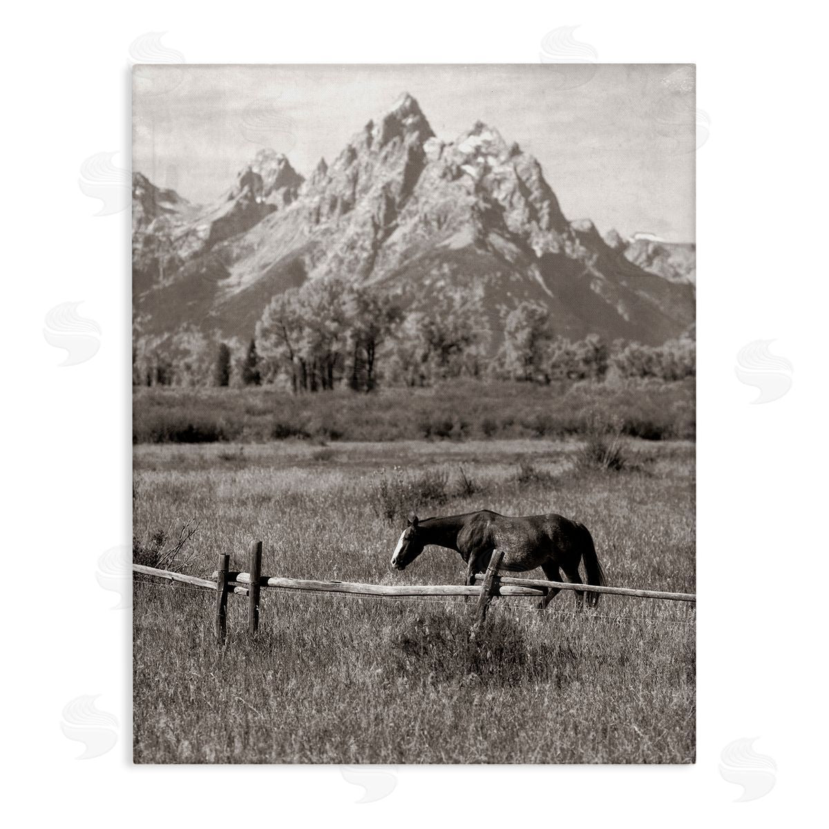 Daniel Sproul | Horse & Mountain Scenery