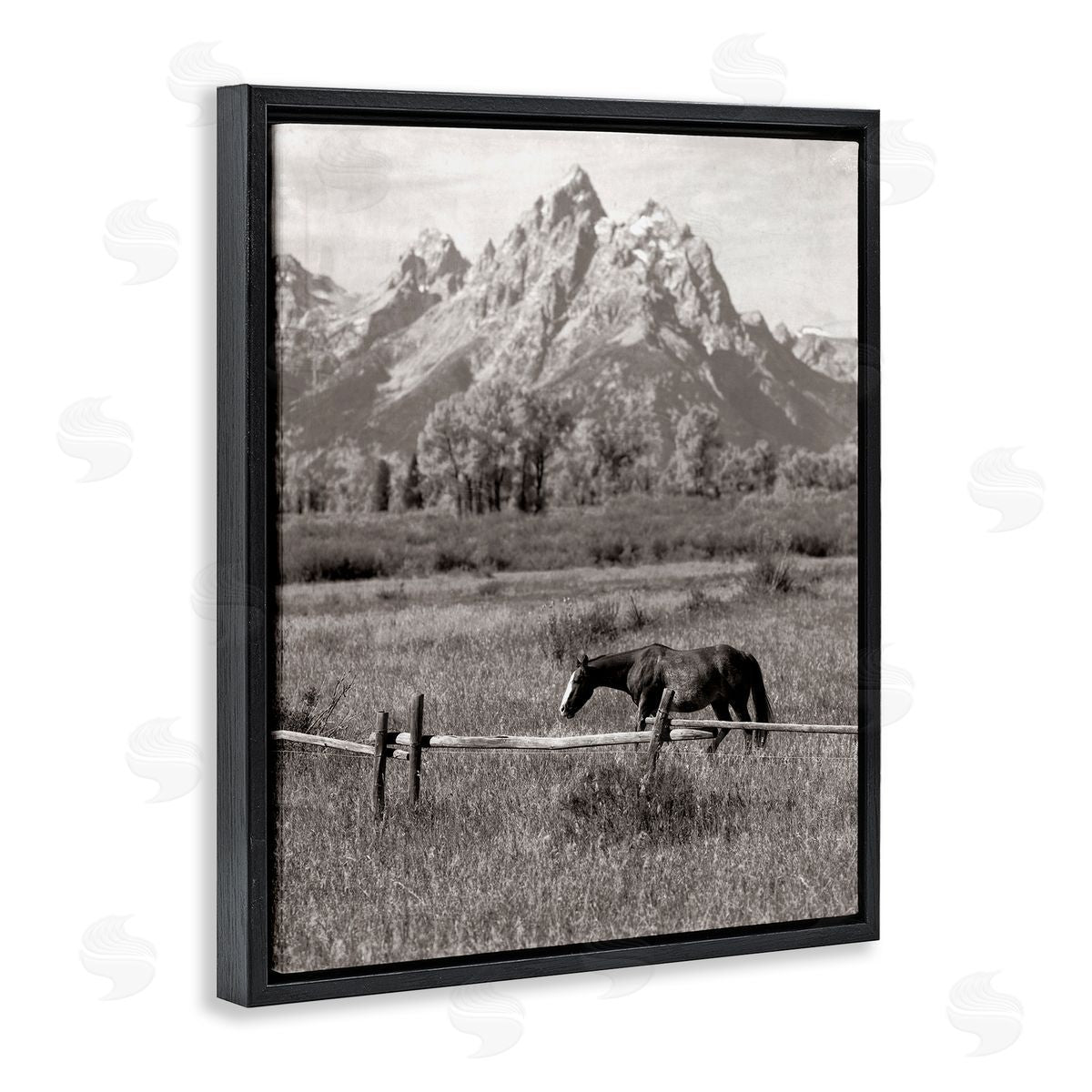 Daniel Sproul Horse & Mountain Scenery Black Floater Frame Canvas Artside_