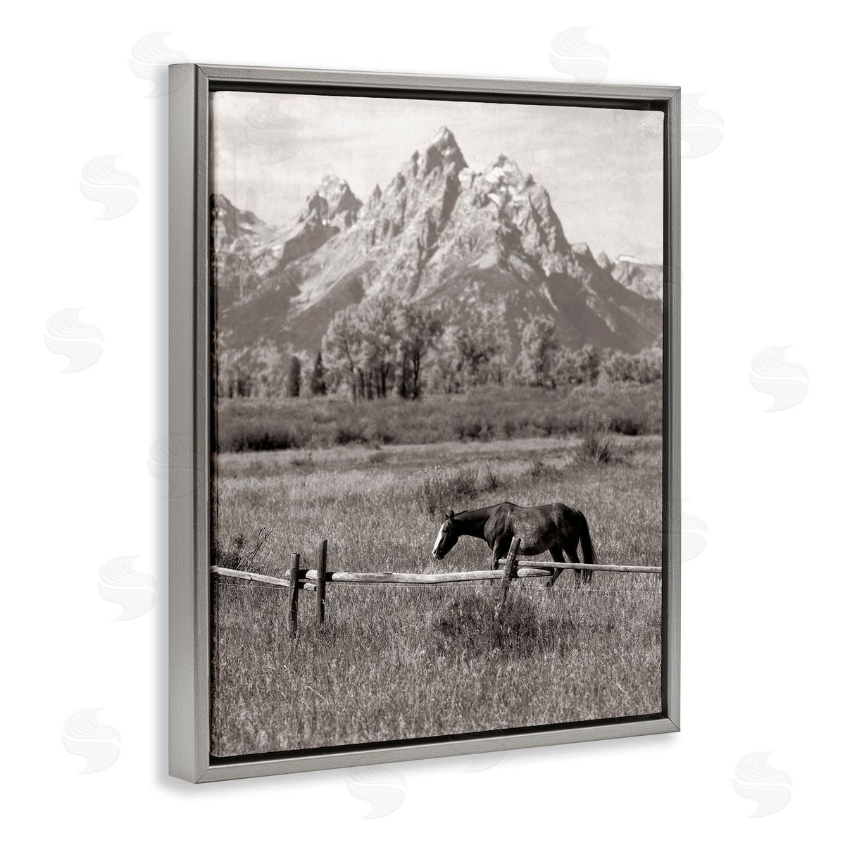 Daniel Sproul Horse & Mountain Scenery Gray Floater Frame Canvas Artside_