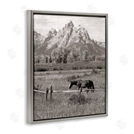 Daniel Sproul | Horse & Mountain Scenery
