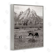 Daniel Sproul | Horse & Mountain Scenery