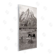 Daniel Sproul | Horse & Mountain Scenery