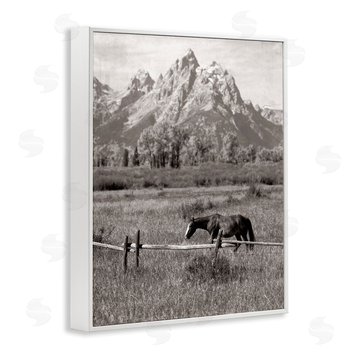 Daniel Sproul Horse & Mountain Scenery White Framed Giclee Wall Artside_