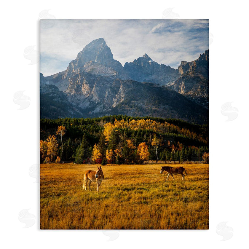 Daniel Sproul | Horses & Fall Foliage