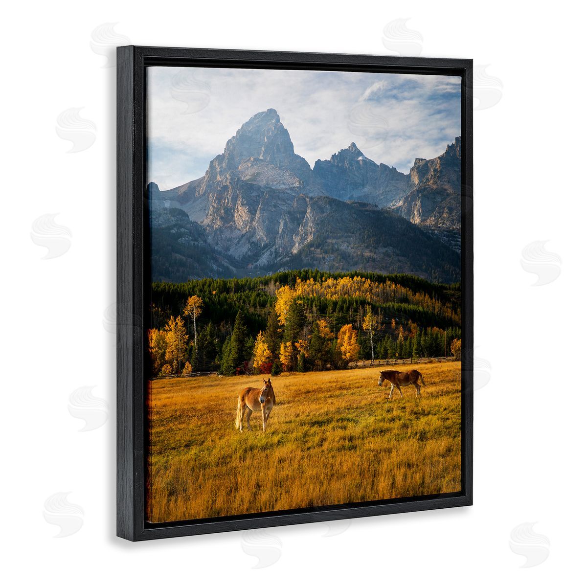 Daniel Sproul | Horses & Fall Foliage