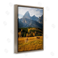 Daniel Sproul | Horses & Fall Foliage