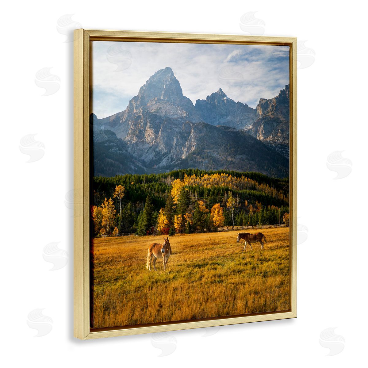 Daniel Sproul | Horses & Fall Foliage