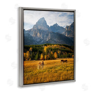 Daniel Sproul | Horses & Fall Foliage