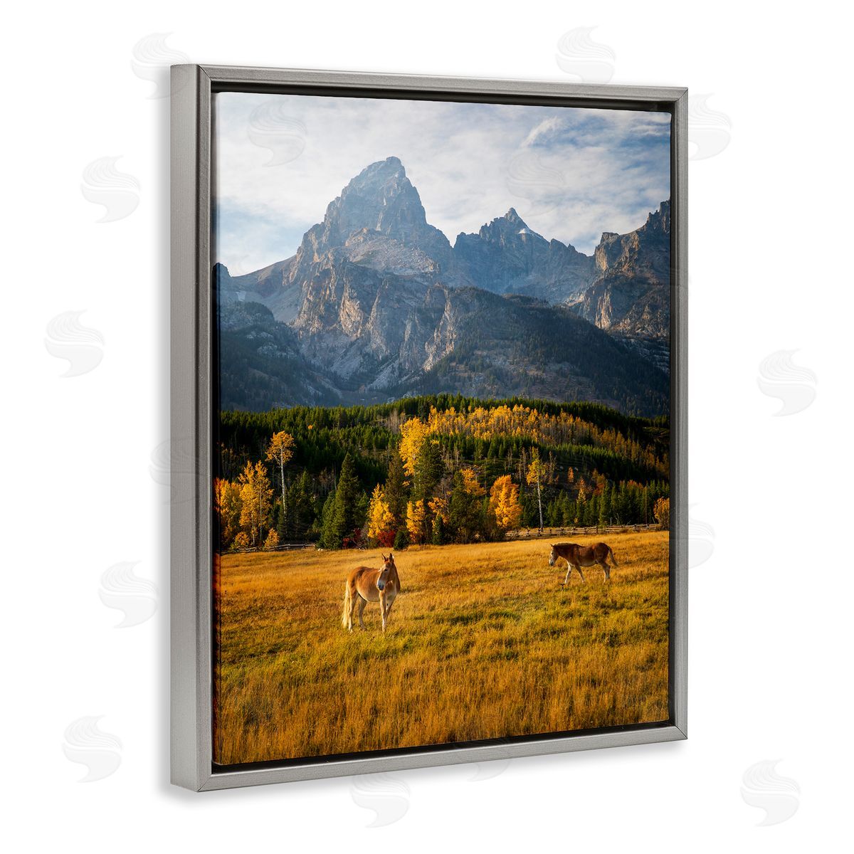 Daniel Sproul | Horses & Fall Foliage