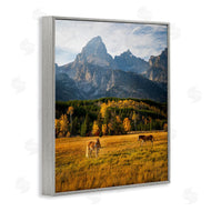 Daniel Sproul | Horses & Fall Foliage