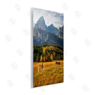 Daniel Sproul | Horses & Fall Foliage