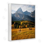 Daniel Sproul | Horses & Fall Foliage