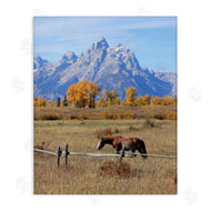 Daniel Sproul | Mountain Nature Horse