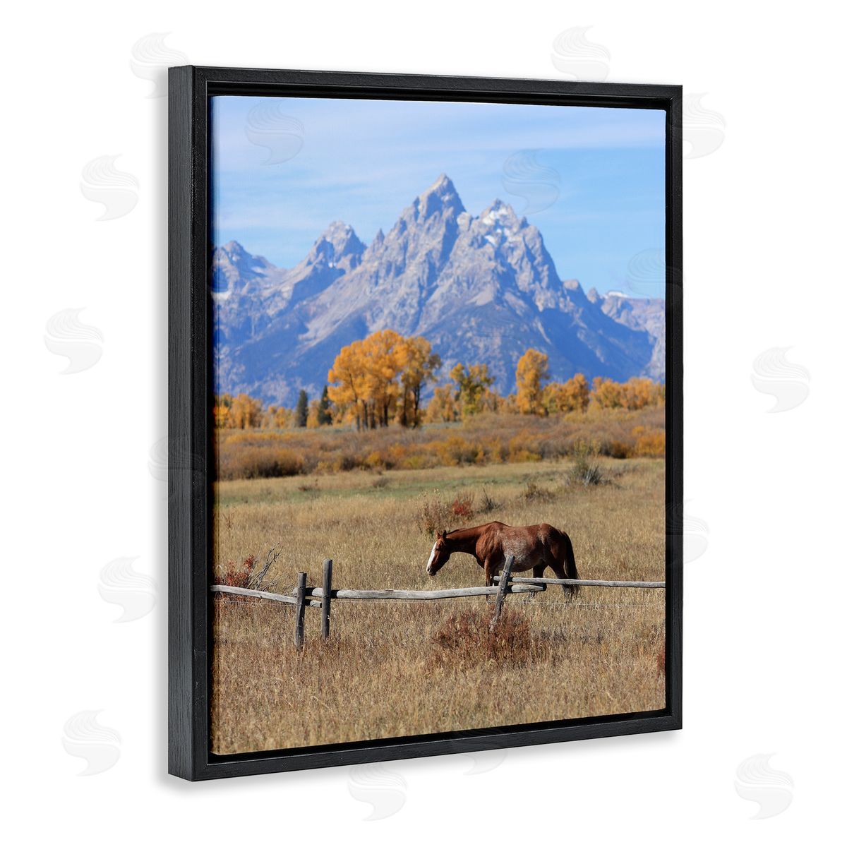 Daniel Sproul Mountain Nature Horse Black Floater Frame Canvas Artside_