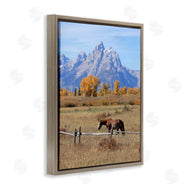 Daniel Sproul | Mountain Nature Horse