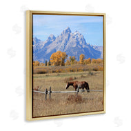 Daniel Sproul | Mountain Nature Horse