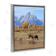 Daniel Sproul | Mountain Nature Horse