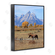 Daniel Sproul | Mountain Nature Horse