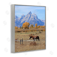 Daniel Sproul | Mountain Nature Horse