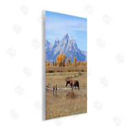 Daniel Sproul | Mountain Nature Horse