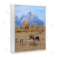 Daniel Sproul | Mountain Nature Horse