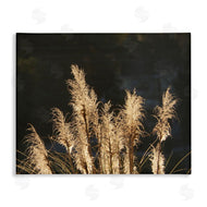 Gail Peck | Dark Wheat Photography