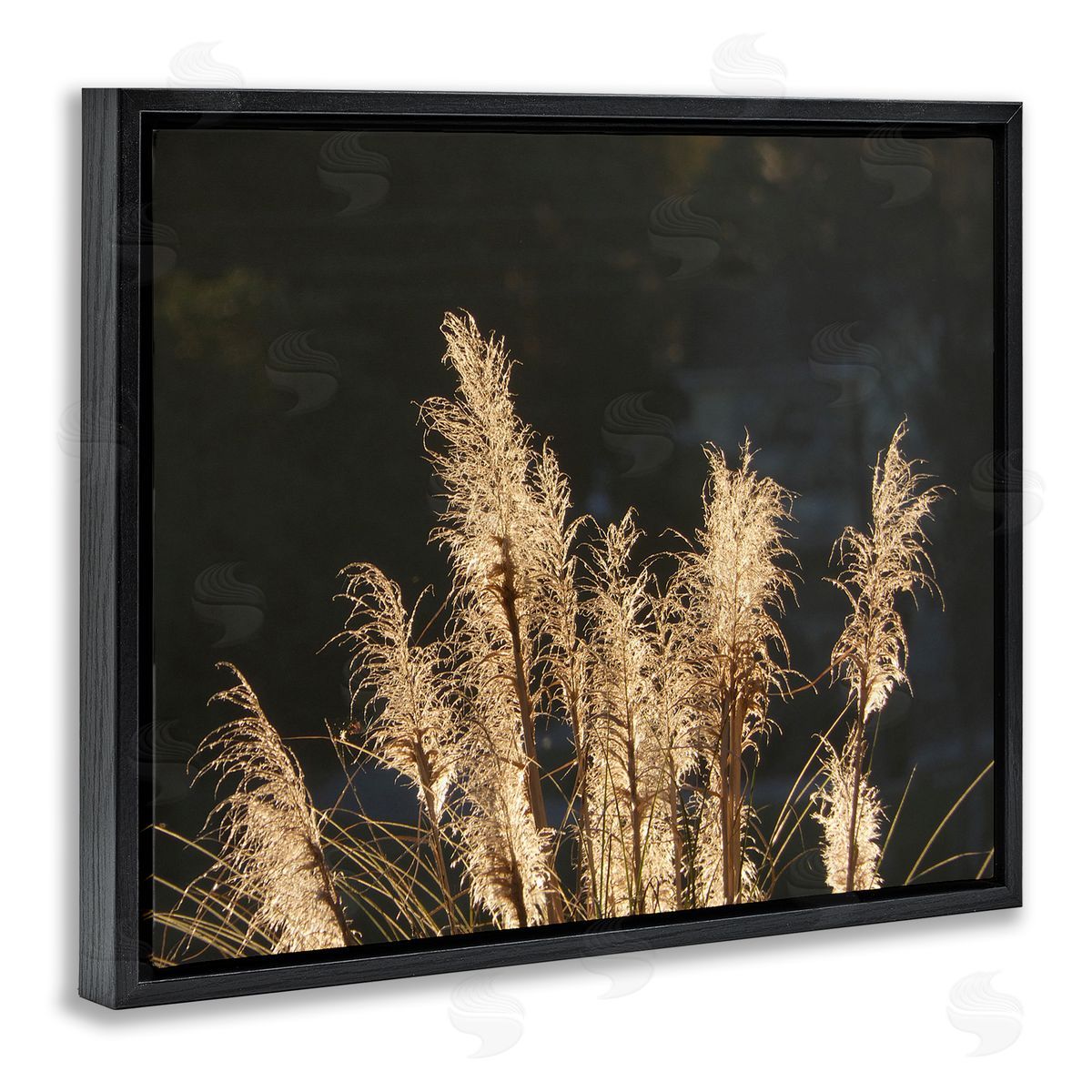 Gail Peck Dark Wheat Photography Black Floater Frame Canvas Artside_