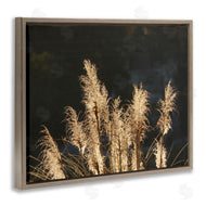 Gail Peck | Dark Wheat Photography