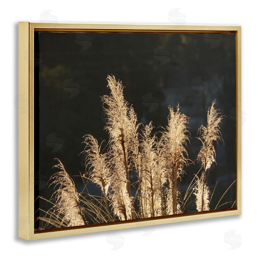 Gail Peck | Dark Wheat Photography