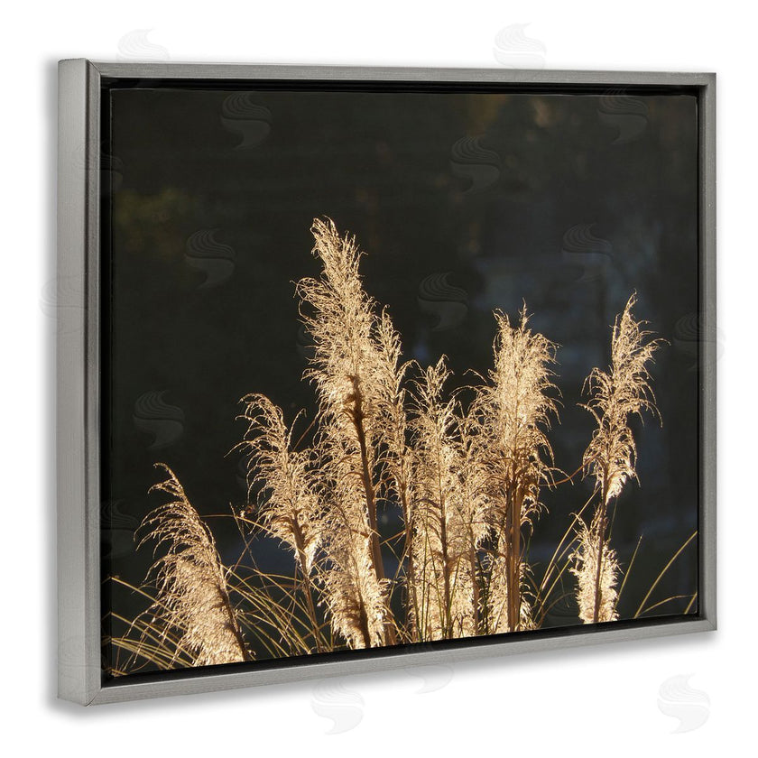 Gail Peck | Dark Wheat Photography