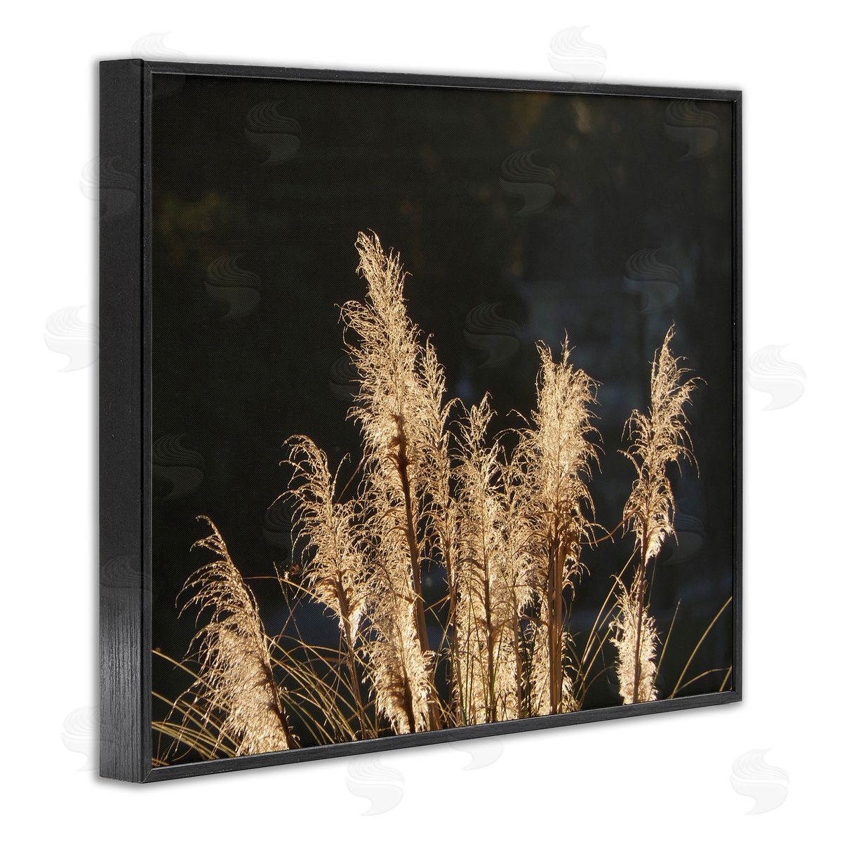 Gail Peck | Dark Wheat Photography