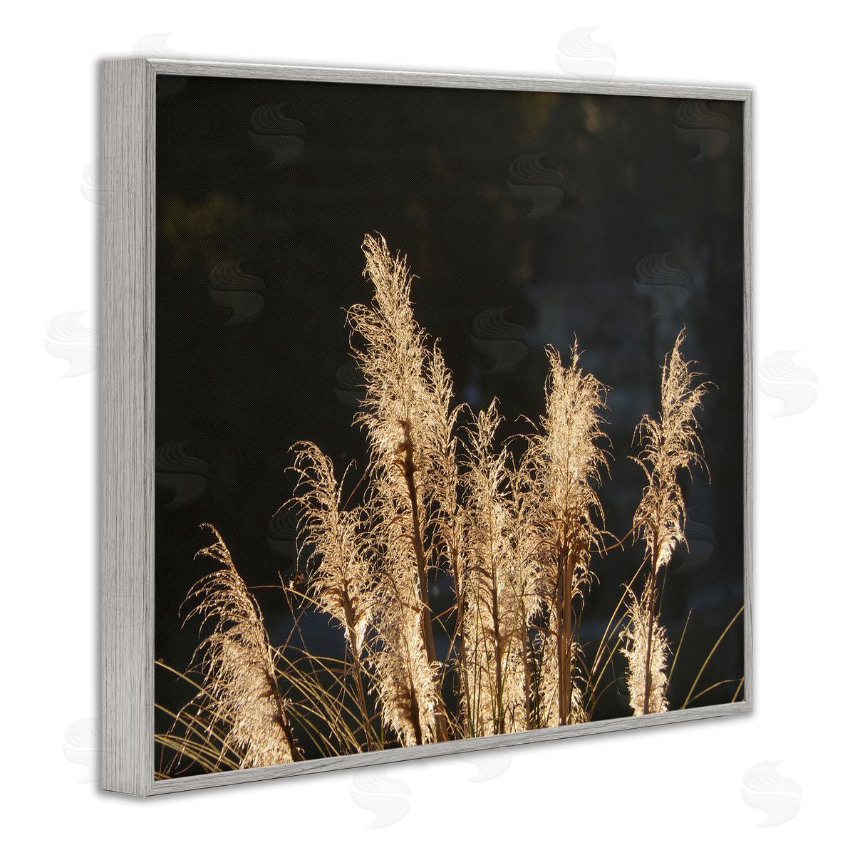 Gail Peck Dark Wheat Photography Gray Framed Giclee Wall Artside_
