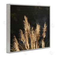 Gail Peck | Dark Wheat Photography