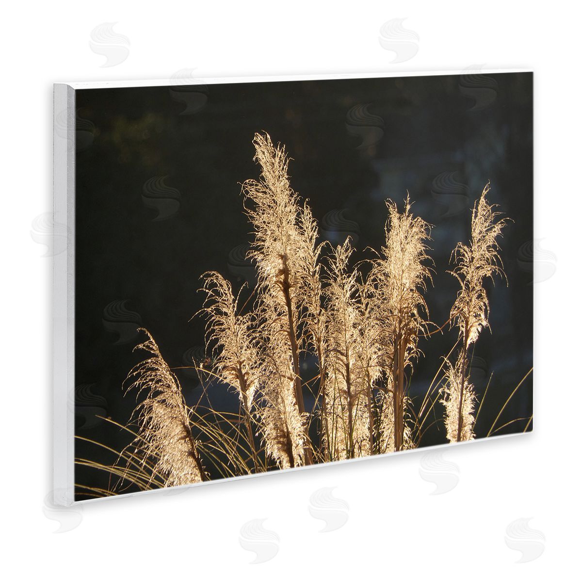 Gail Peck Dark Wheat Photography Wall Plaque Artside_