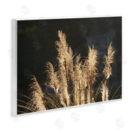 Gail Peck | Dark Wheat Photography