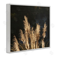 Gail Peck | Dark Wheat Photography