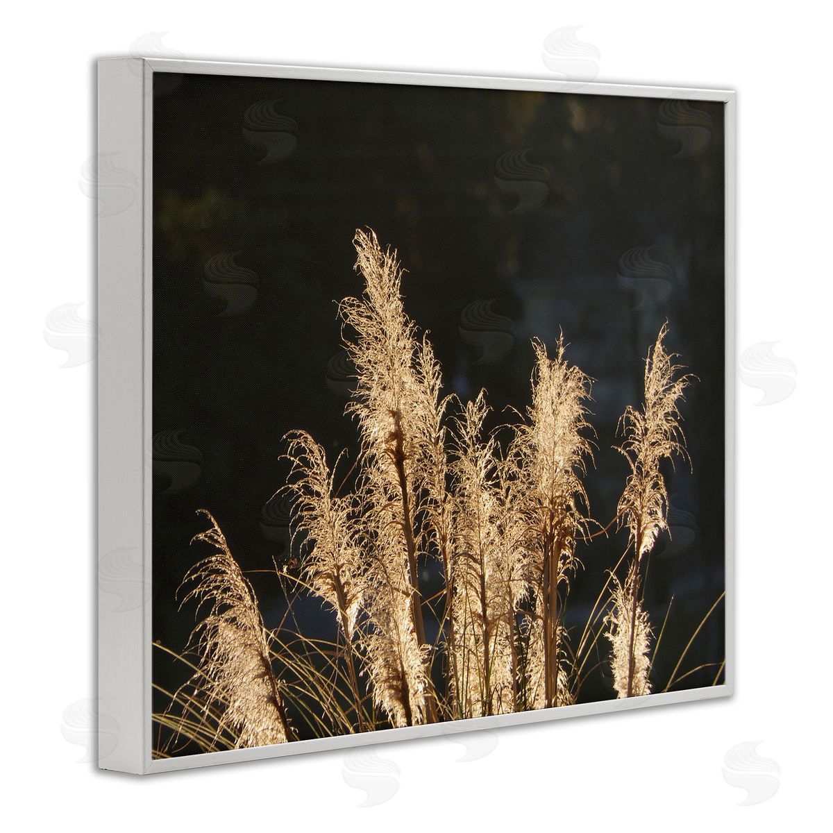 Gail Peck | Dark Wheat Photography