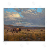 Chad Poppleton | Buffalo Cloudy Landscape