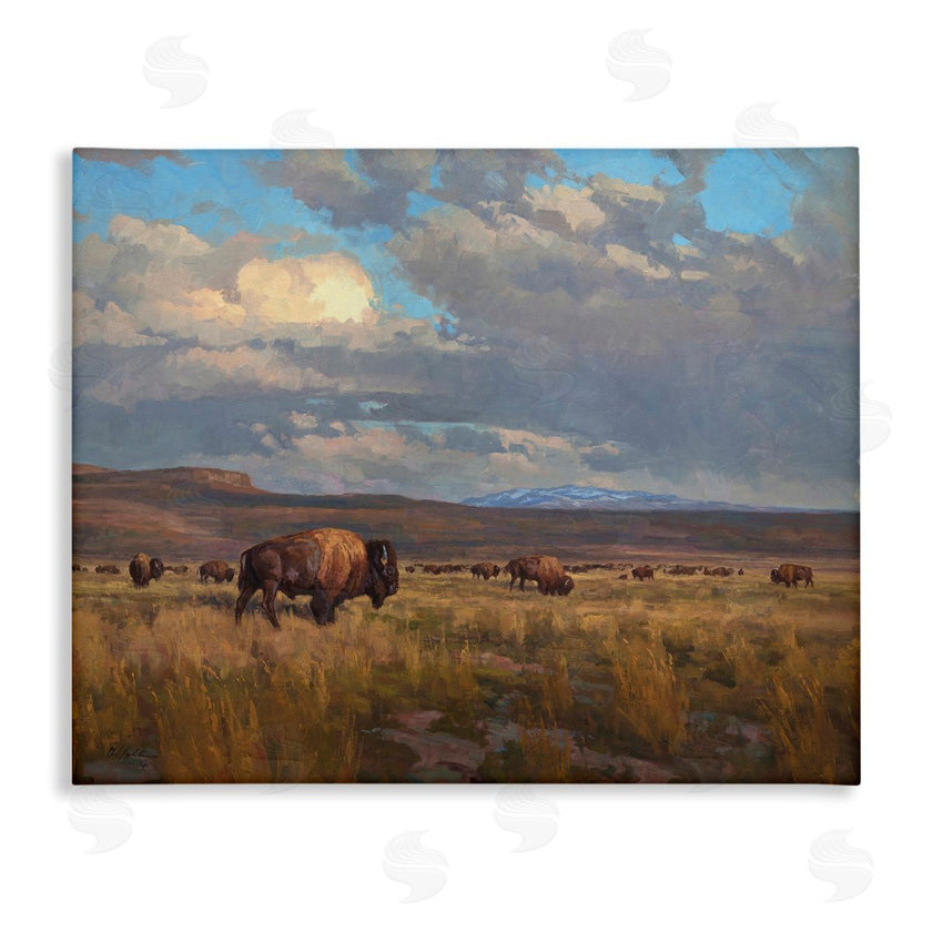 Chad Poppleton | Buffalo Cloudy Landscape