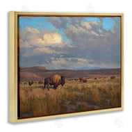 Chad Poppleton | Buffalo Cloudy Landscape