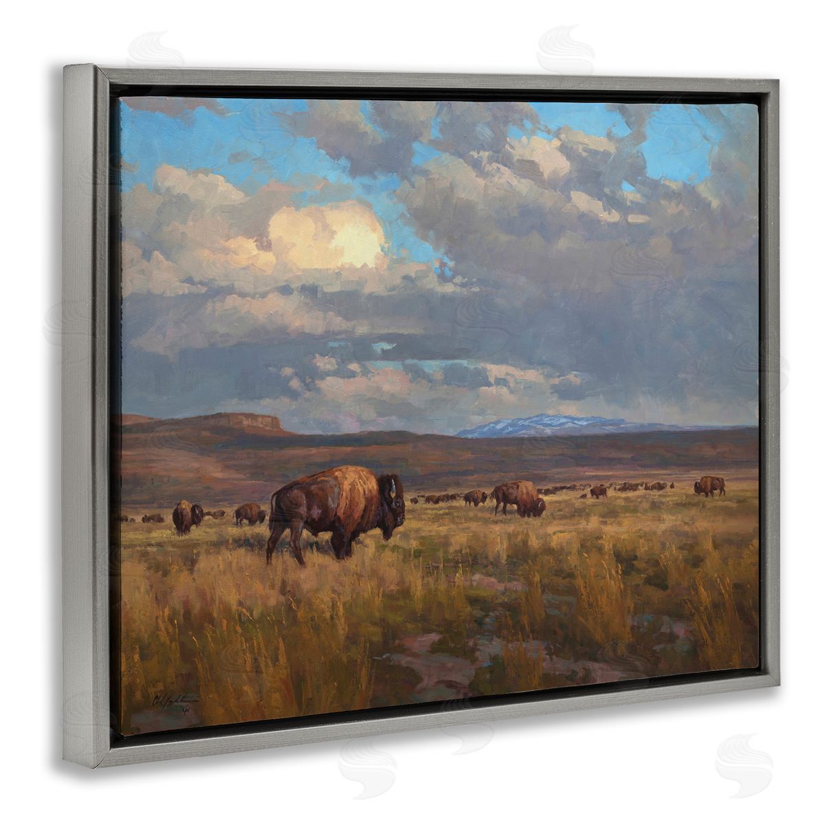 Chad Poppleton | Buffalo Cloudy Landscape