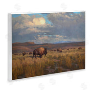 Chad Poppleton | Buffalo Cloudy Landscape