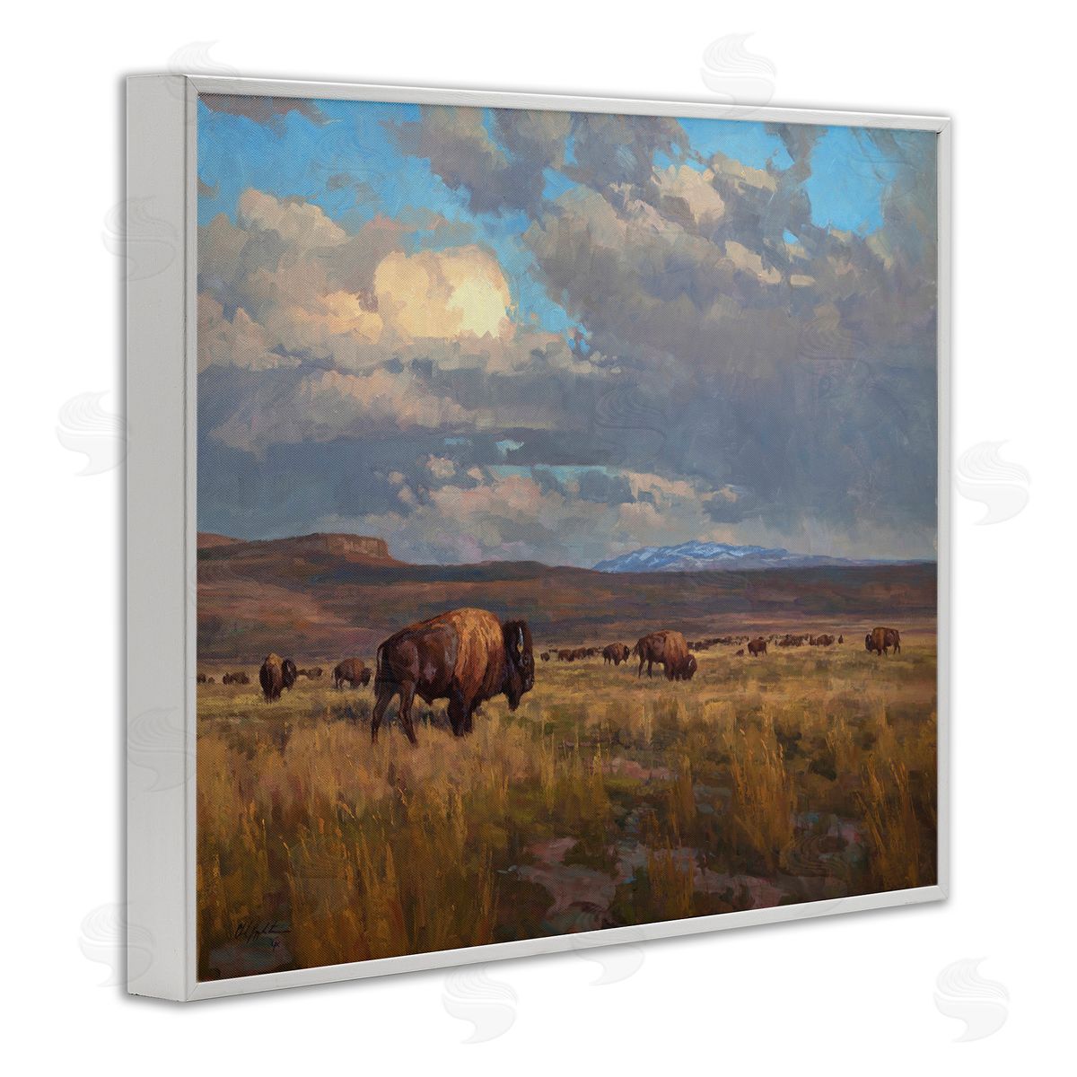Chad Poppleton | Buffalo Cloudy Landscape