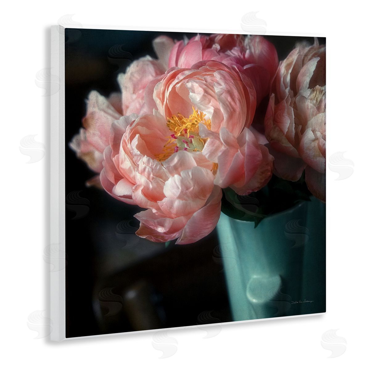Debra Van Swearingen | Pink Peony Photography