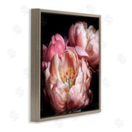 Debra Van Swearingen | Blooming Peony Photography