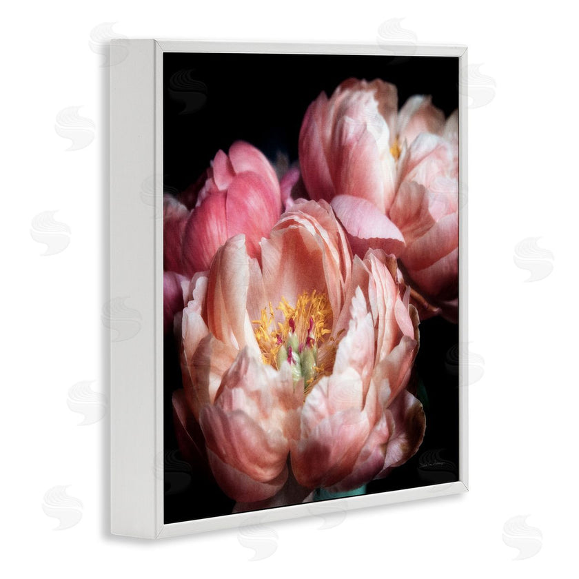 Debra Van Swearingen | Blooming Peony Photography