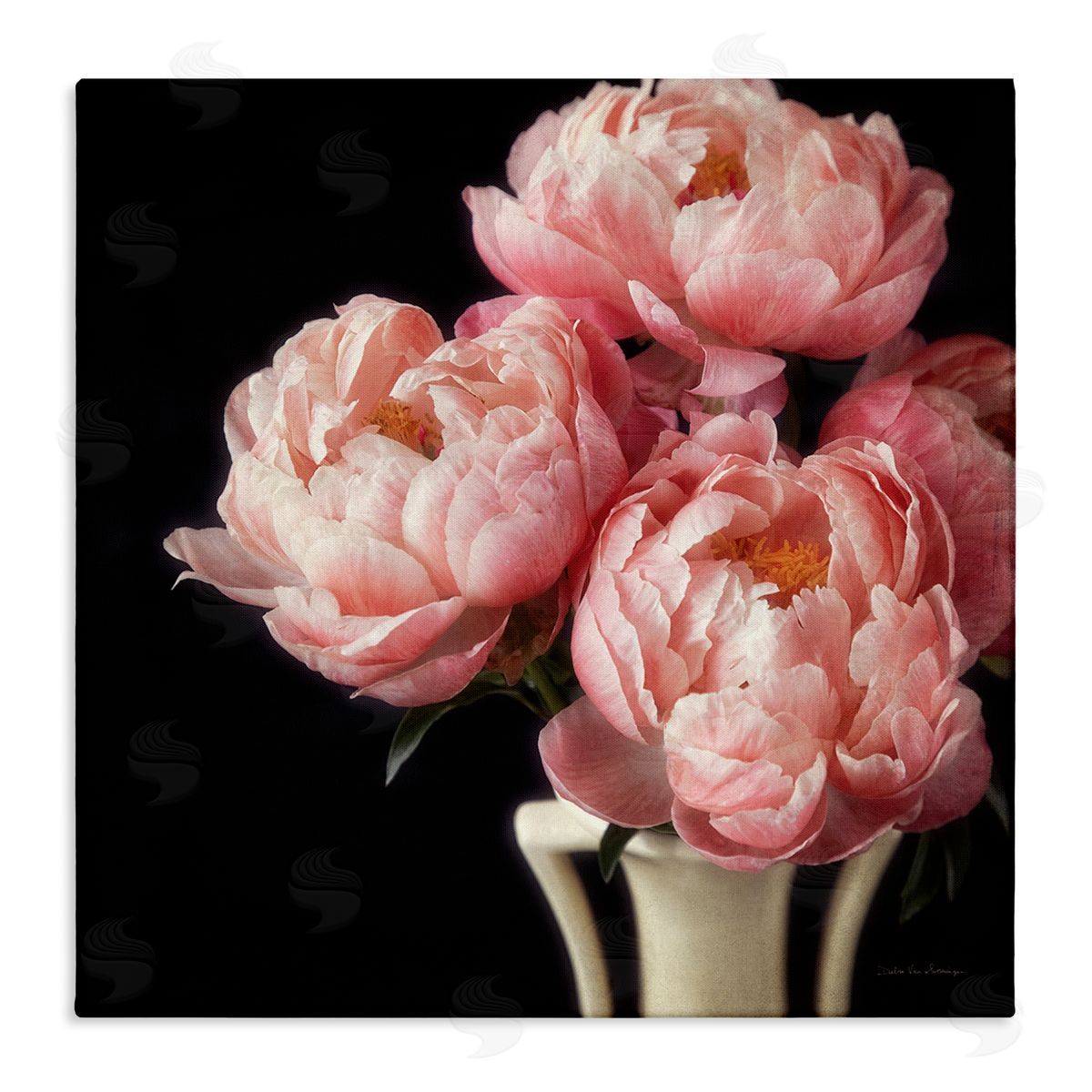 Debra Van Swearingen | Three Peonies Photography